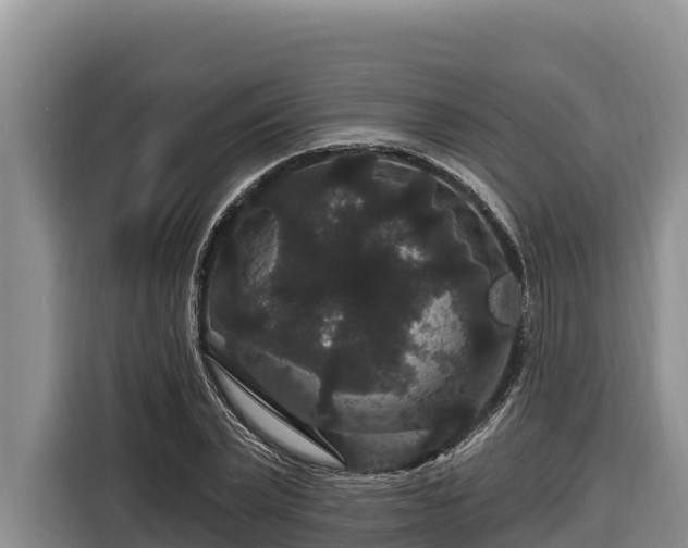 X0000116870783200912291319