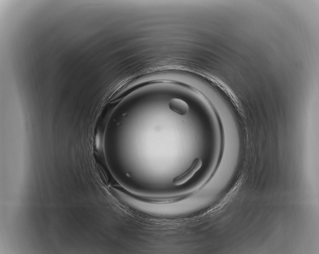 X0000116870785200912291319