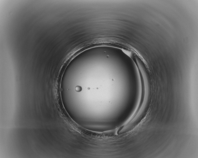 X0000116870786200912291319