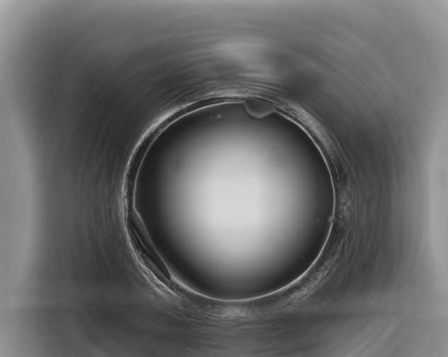 X0000116870787200912291319