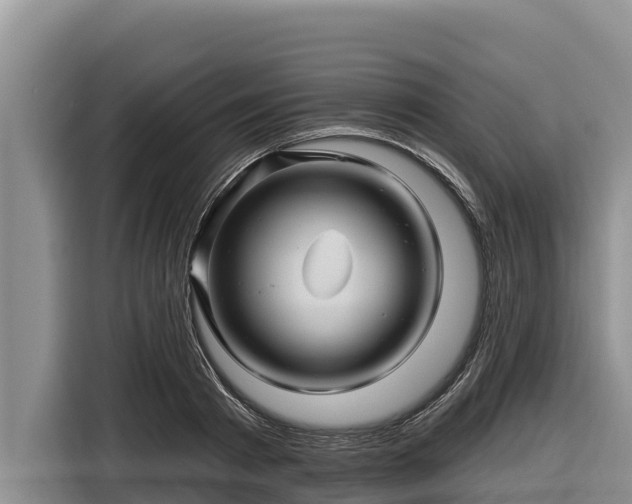 X0000116870793200912291318