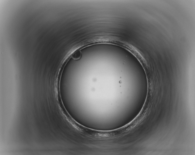 X0000116870794200912291318