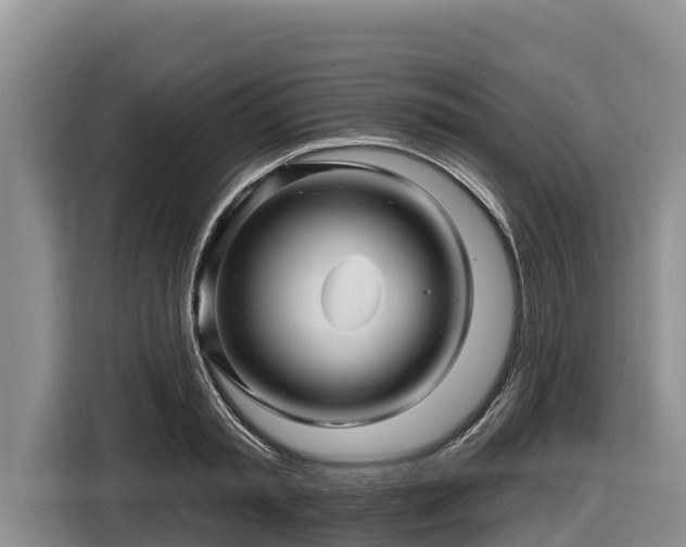 X0000116870797200912291318