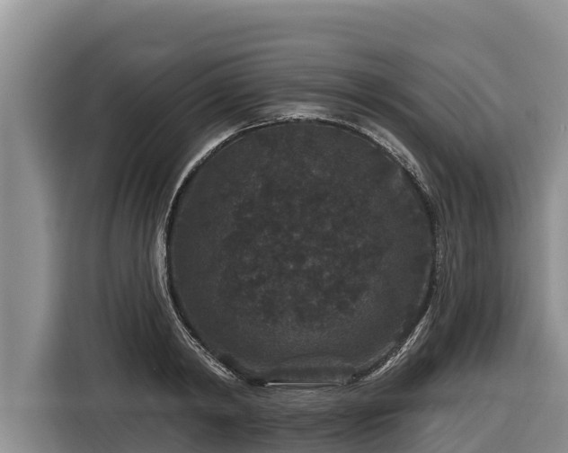 X0000116870798200912291318