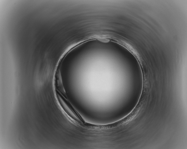 X0000116870803200912291318