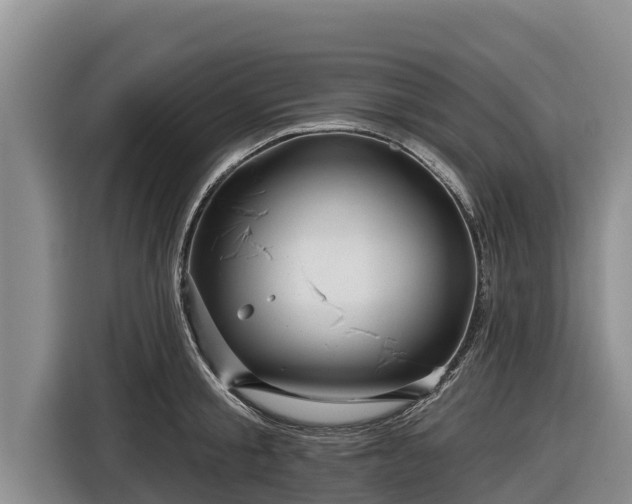 X0000116870805200912291318