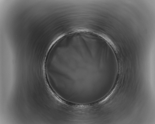 X0000116870806200912291318
