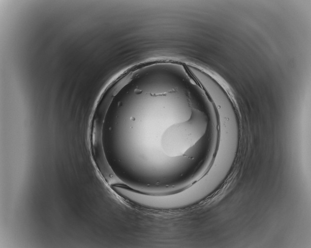 X0000116870807200912291318