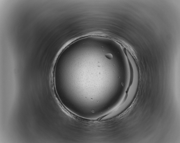 X0000116870808200912291318