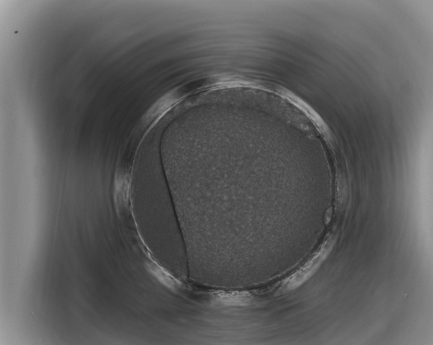 X0000116870809200912291318