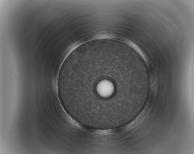 X0000116870810200912291318