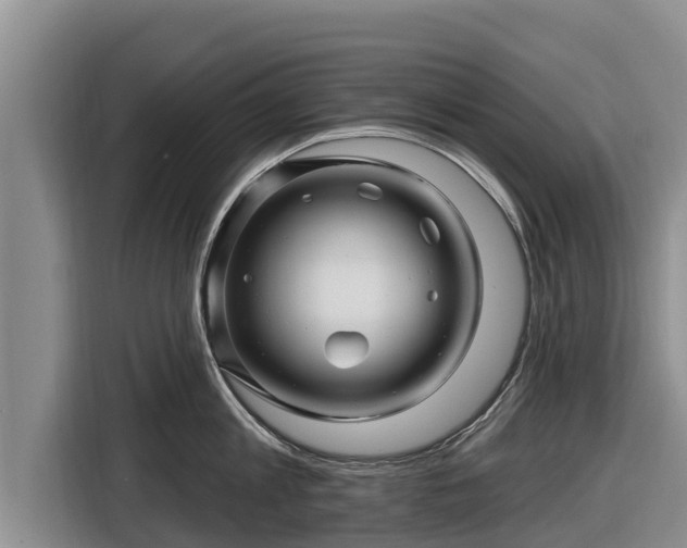 X0000116870813200912291318