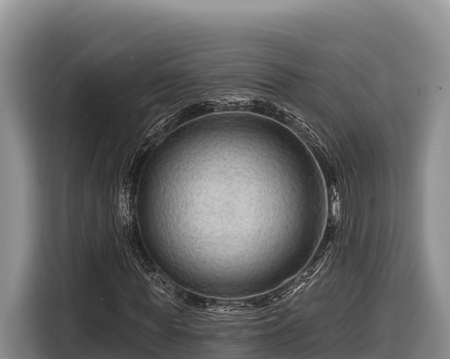 X0000116870819200912291318