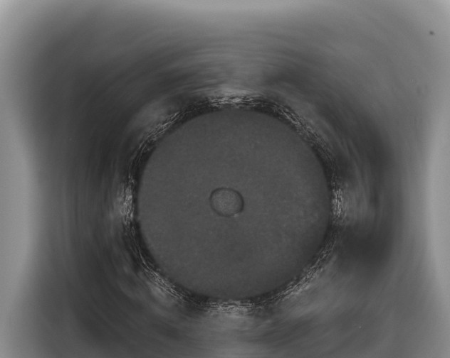 X0000116870820200912291318