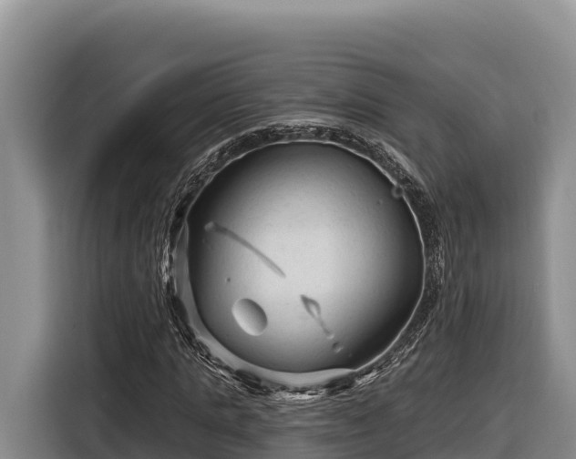 X0000116870821200912291318