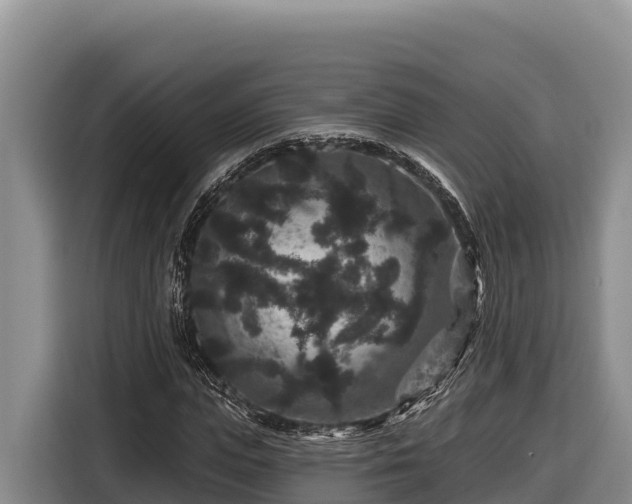 X0000116870823200912291318