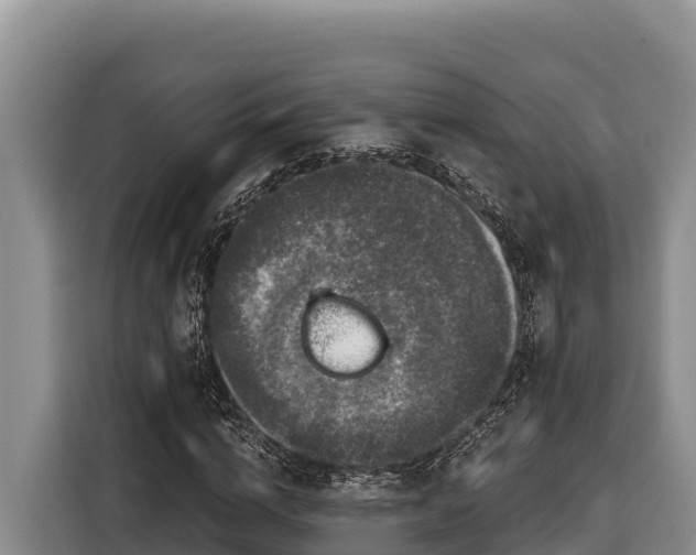X0000116870824200912291318