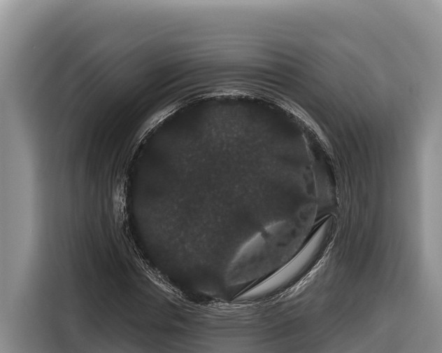 X0000116870826200912291318