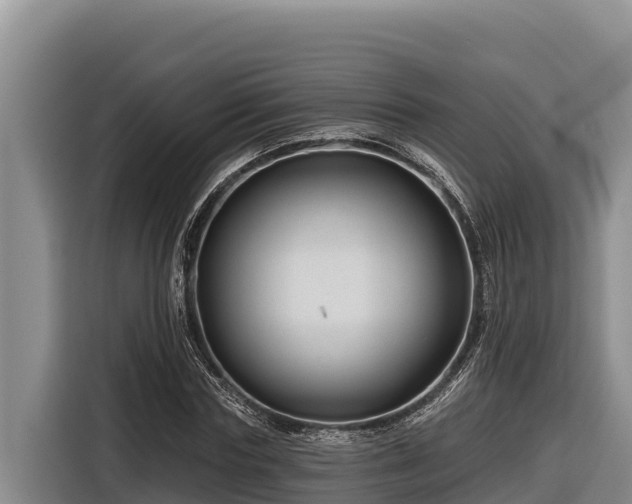 X0000116870827200912291318