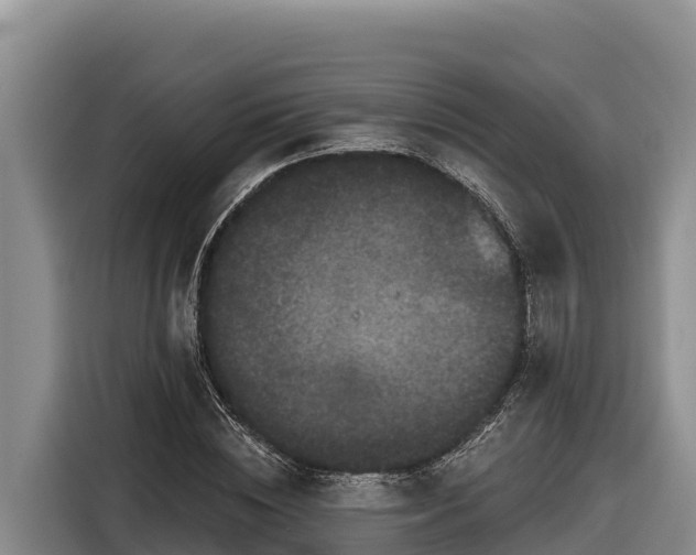 X0000116870828200912291318