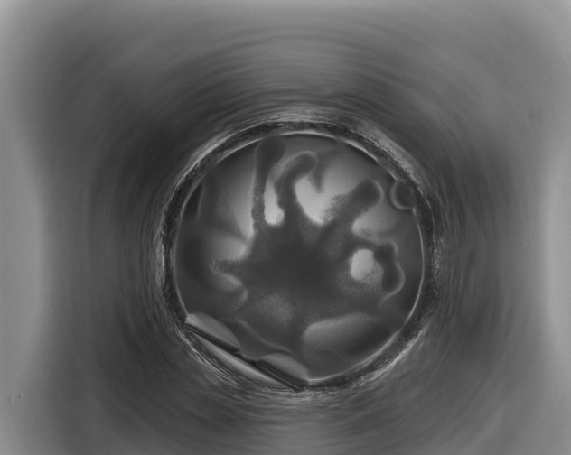 X0000116870829200912291318