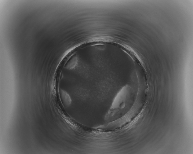 X0000116870830200912291318