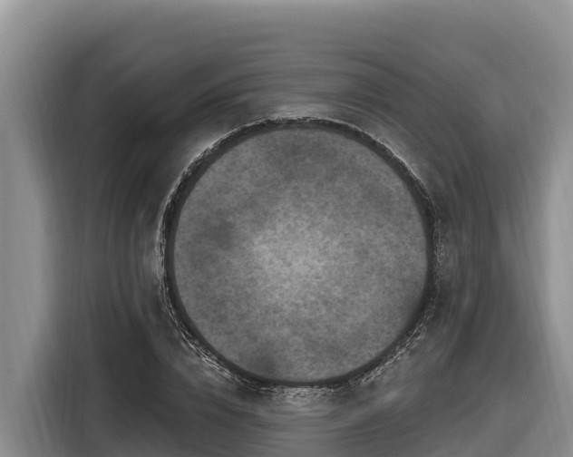 X0000116870832200912291318