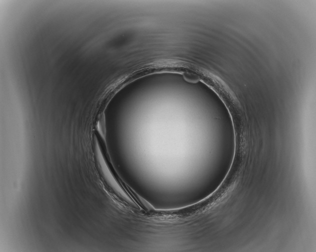 X0000116870833200912291318