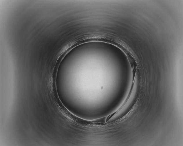 X0000116870834200912291318