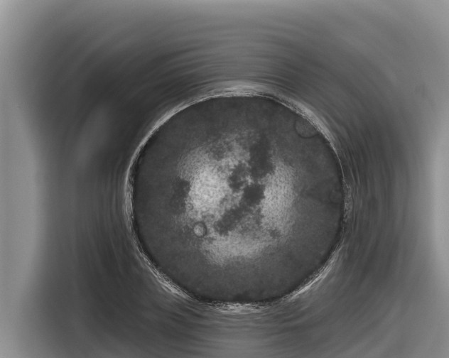 X0000116870835200912291318