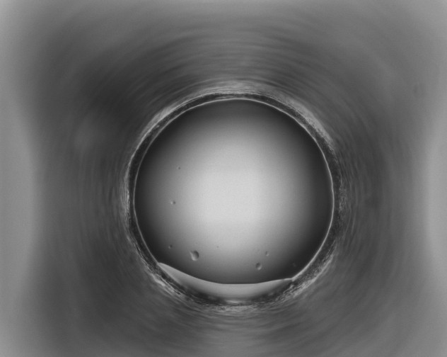 X0000116870837200912291318