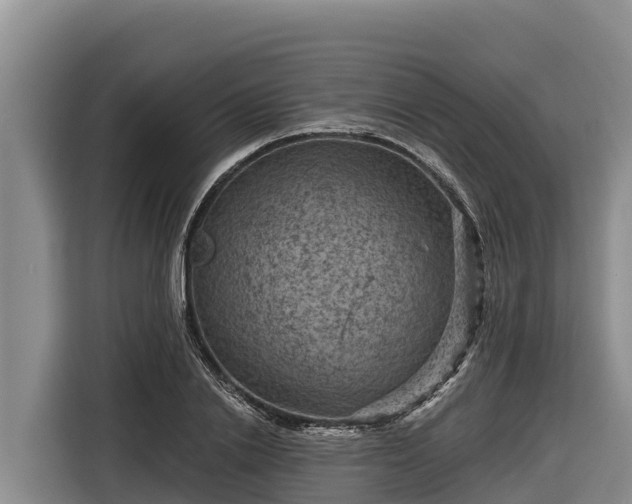 X0000116870838200912291318