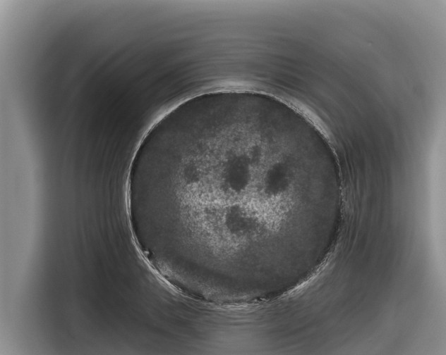 X0000116870839200912291318
