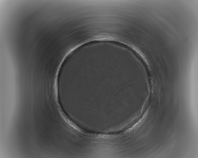X0000116870840200912291318