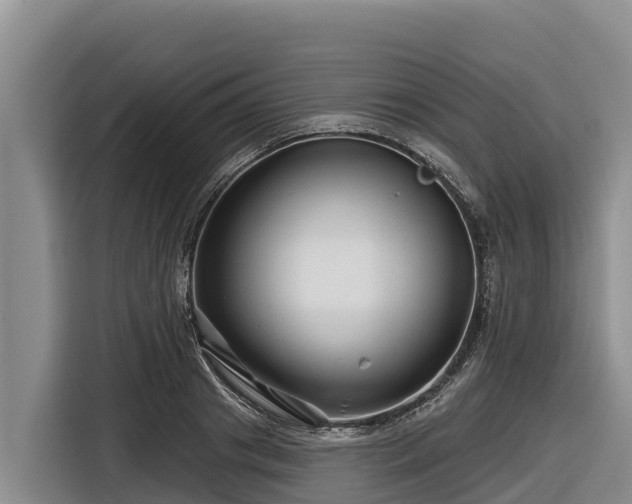 X0000116870841200912291318