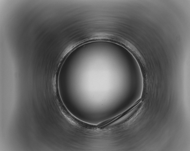X0000116870842200912291318