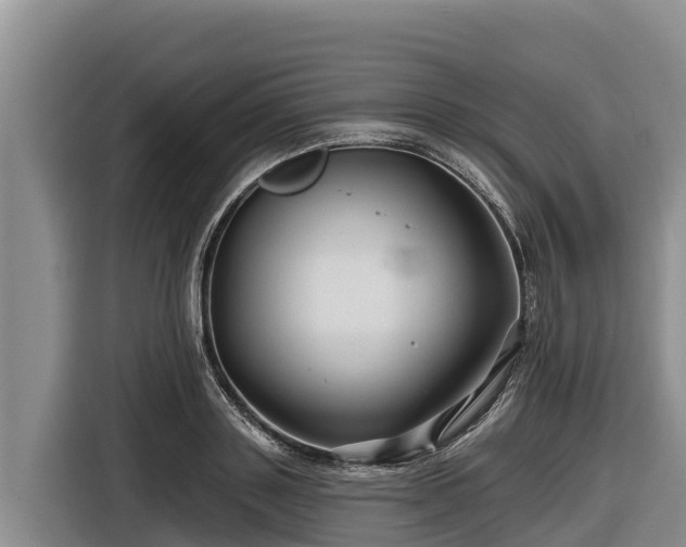 X0000116870843200912291318