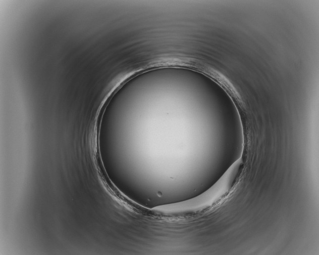 X0000116870844200912291318