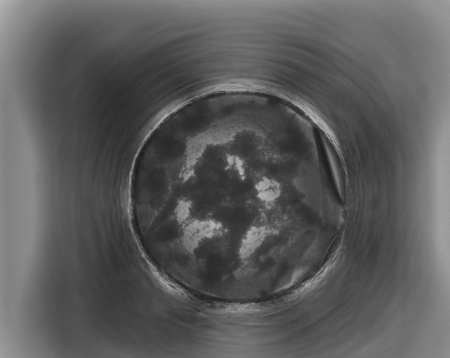 X0000116870845200912291318