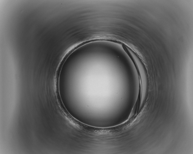 X0000116870846200912291318