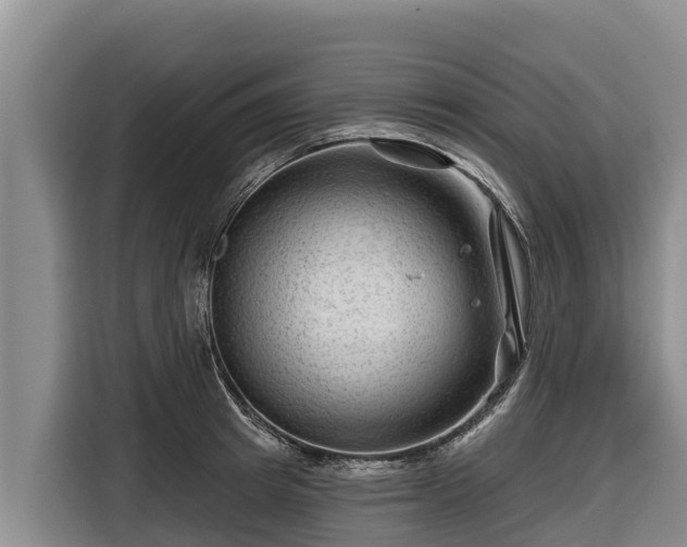 X0000116870849200912291318