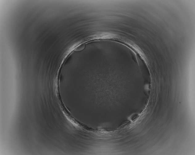 X0000116870850200912291318