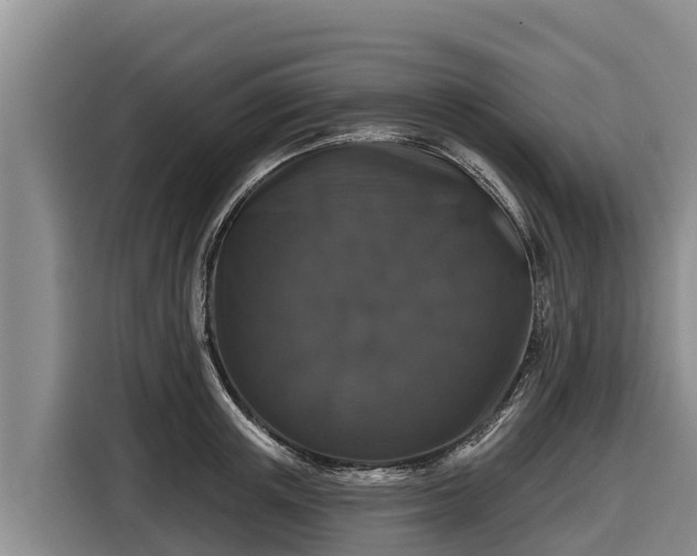 X0000116870851200912291318