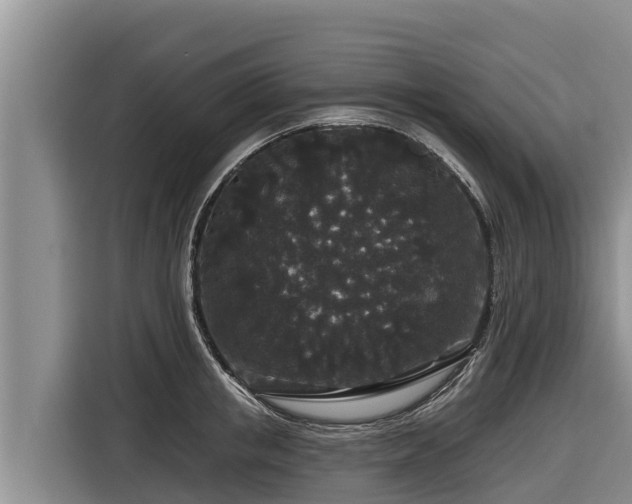 X0000116870853200912291318
