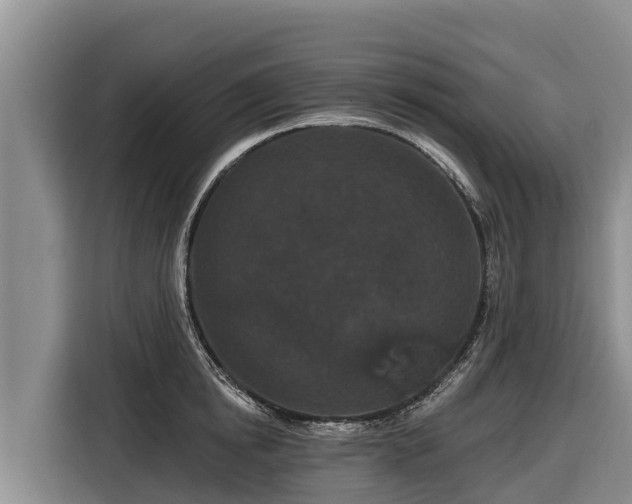 X0000116870854200912291318