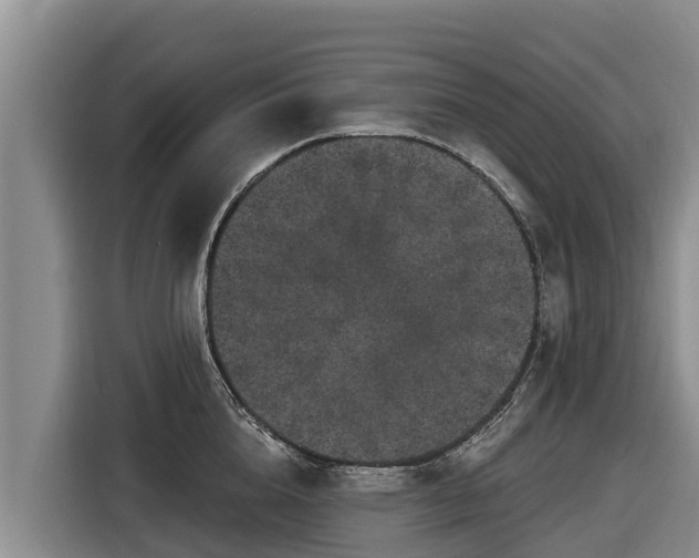 X0000116870856200912291318