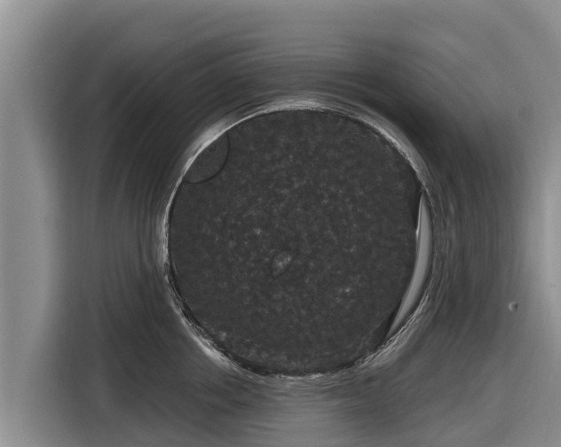 X0000116870858200912291318