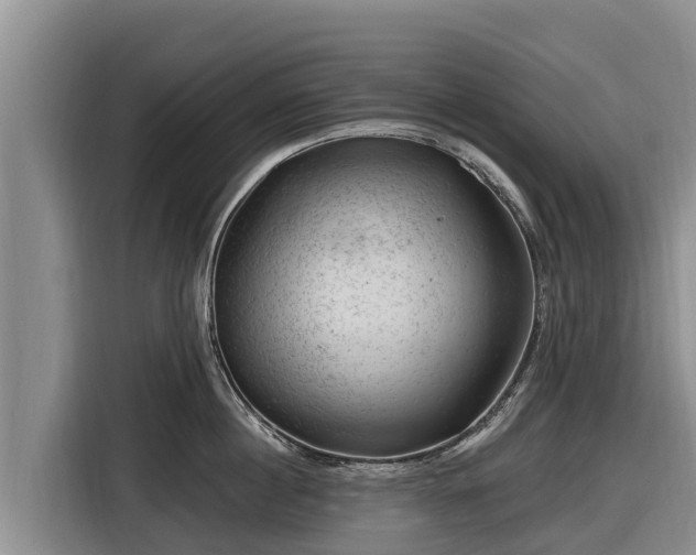 X0000116870860200912291318