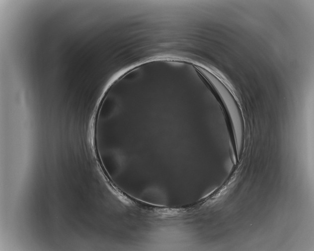 X0000116870862200912291318