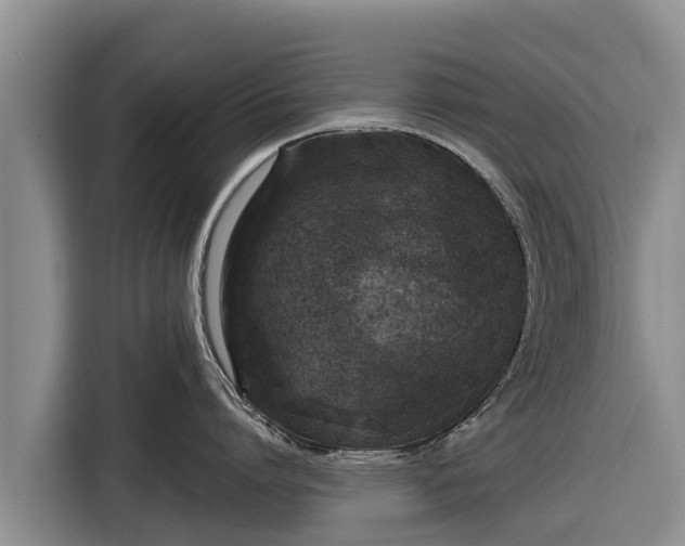 X0000116870864200912291318